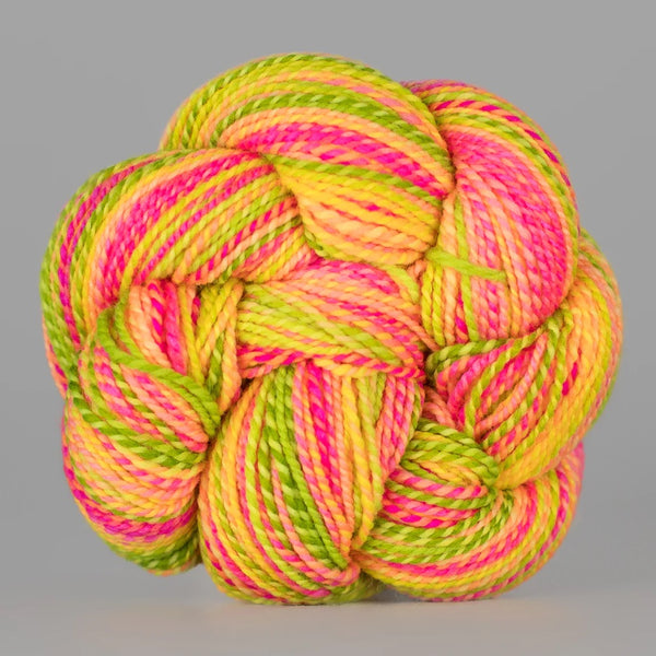 Spincycle Dyed in the Wool