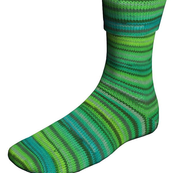 Lang Super Soxx  - Capital Cities