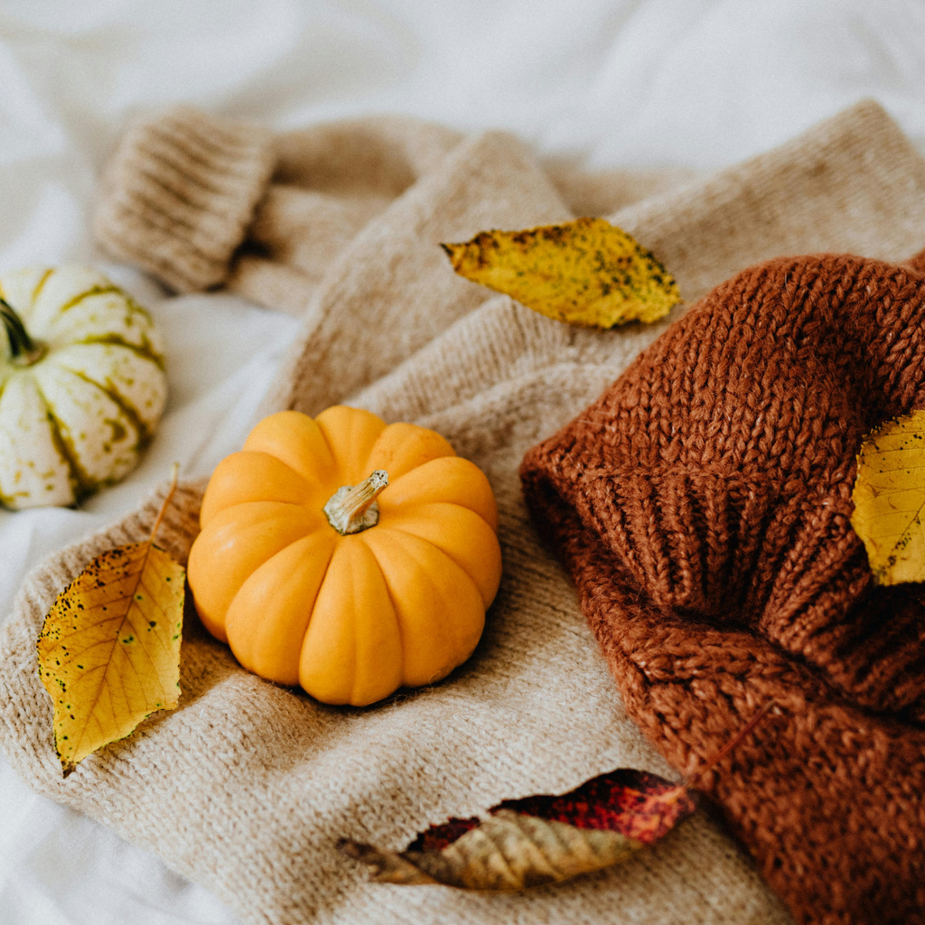 Cast On Cozy: Our Fall Project Picks