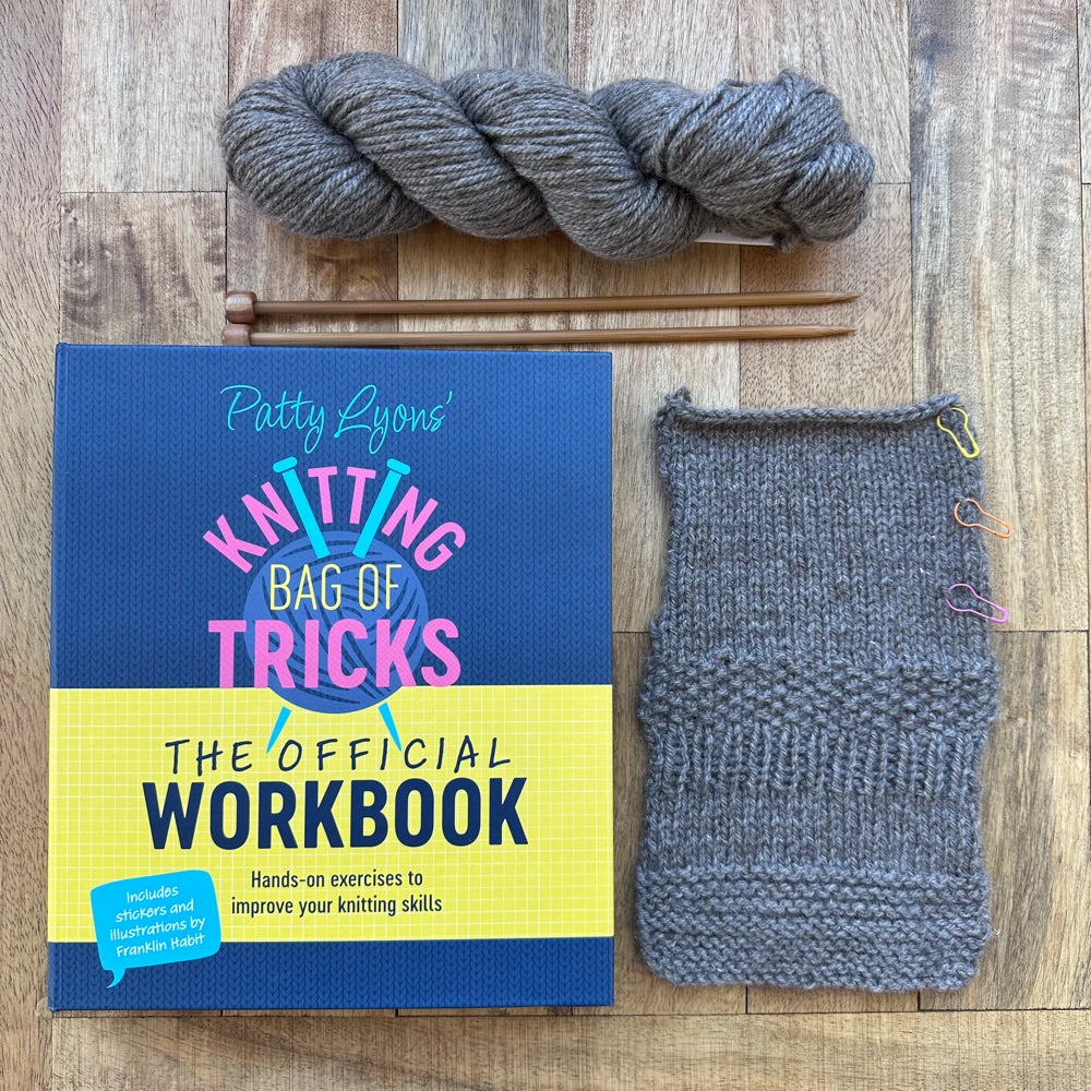 Build Your Knitting Confidence with Catherine and the Patty Lyons Workbook - Every Saturday in March