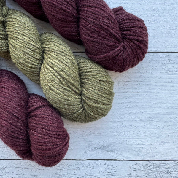 A.N.T. (A New Take) Worsted