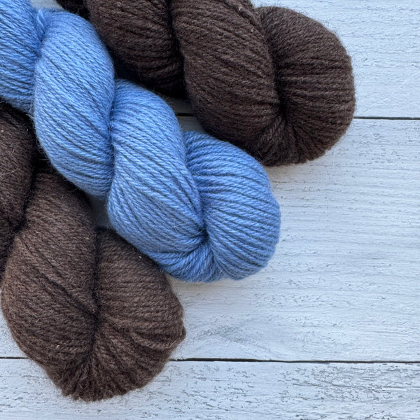 A.N.T. (A New Take) Worsted