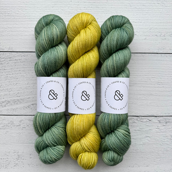 Elm Blanket