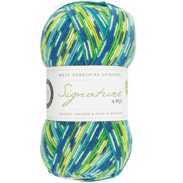 West Yorkshire Spinners Signature 4ply Sock