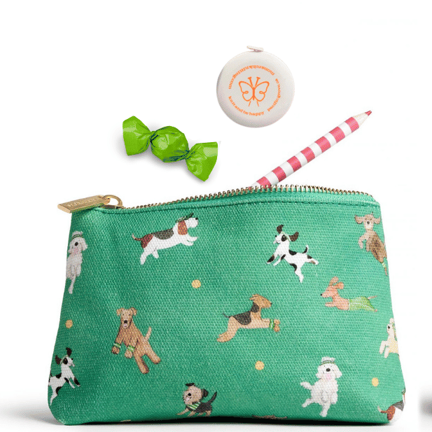 Notions Zip Pouch