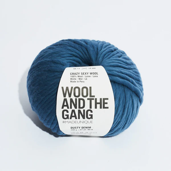 Wool and the Gang Crazy Sexy Wool