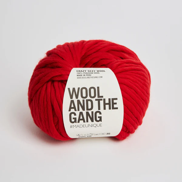 Wool and the Gang Crazy Sexy Wool