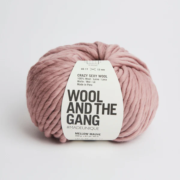 Wool and the Gang Crazy Sexy Wool