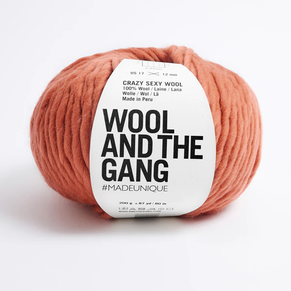 Wool and the Gang Crazy Sexy Wool