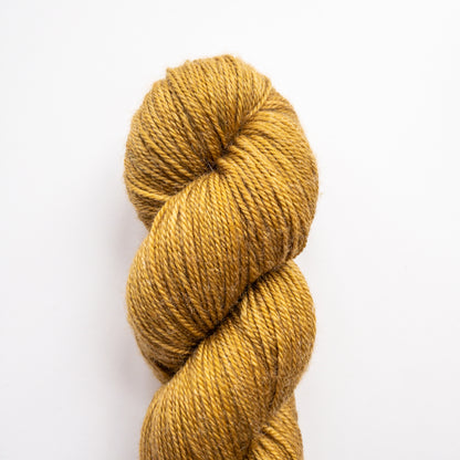 Julie Asselin Fino
