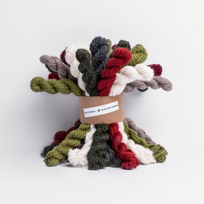 Blue Sky Fibers Woolstok Holiday Bundles